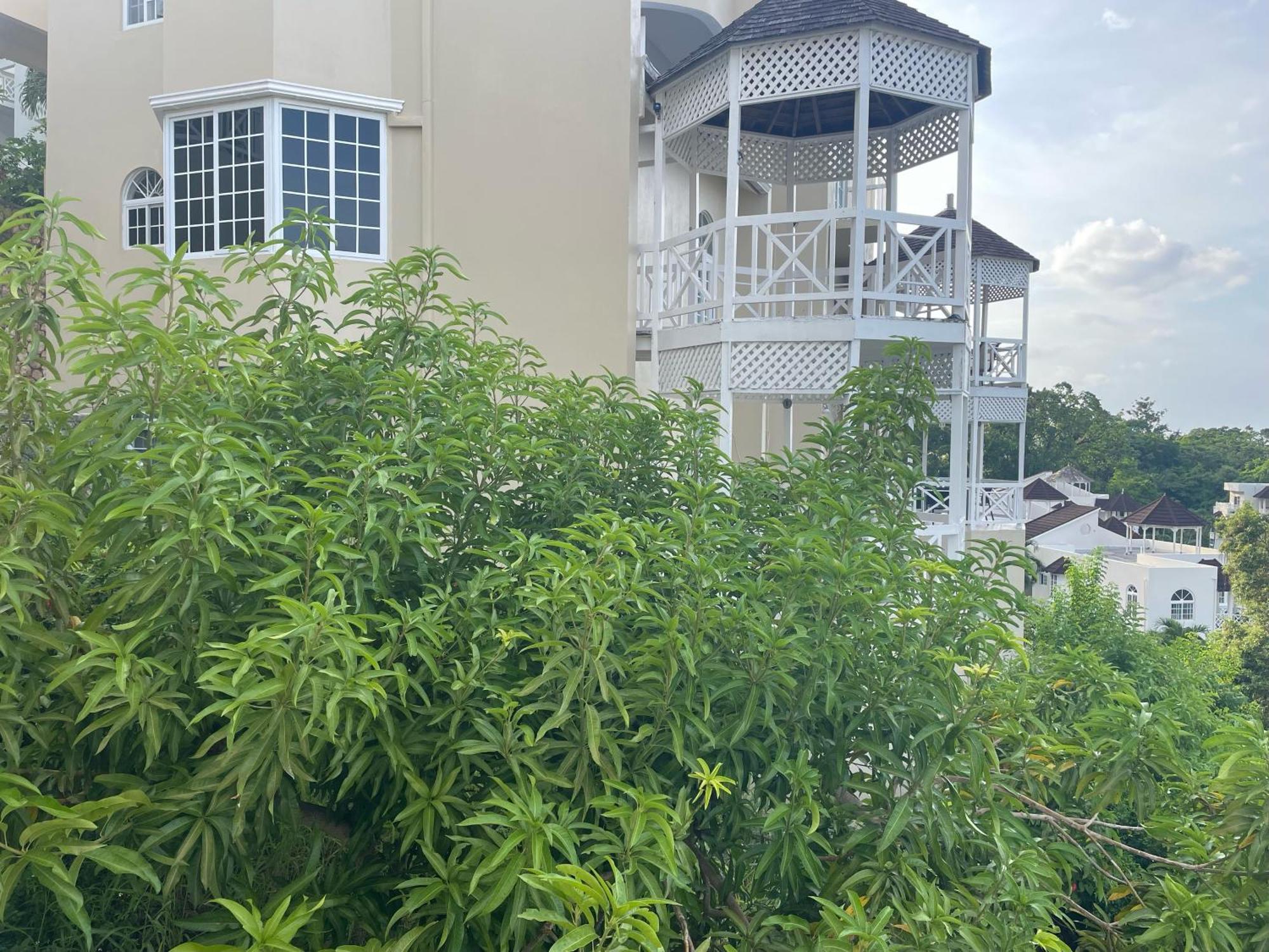 Oceanbreeze Jamaica Penthouse, 7-Minute Walk To Beach Ocho Rios Exterior foto